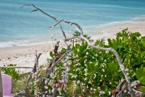 Бали (сёрф) - НГ2011 - Ломбок (треккенг на вулкан) - Гили