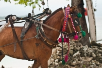 Бали (сёрф) - НГ2011 - Ломбок (треккенг на вулкан) - Гили