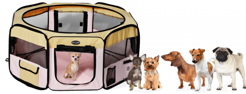 Кошки в нашей жизни. Кошки и все, что с ними связано.