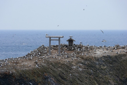 Япония. По местам силы.