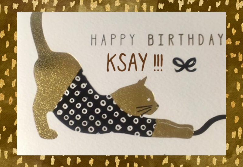 Кошки в нашей жизни. Кошки и все, что с ними связано.