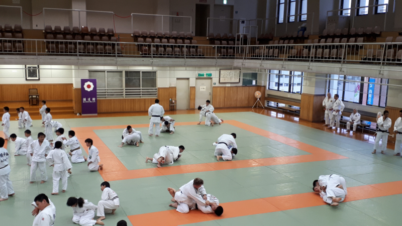Очерк по не самым туристическим и популярным местам:Maishima Incineration Plant,Kodokan Judo Institute,Origami Kaikan,Naval Port,Suntory Yamazaki...