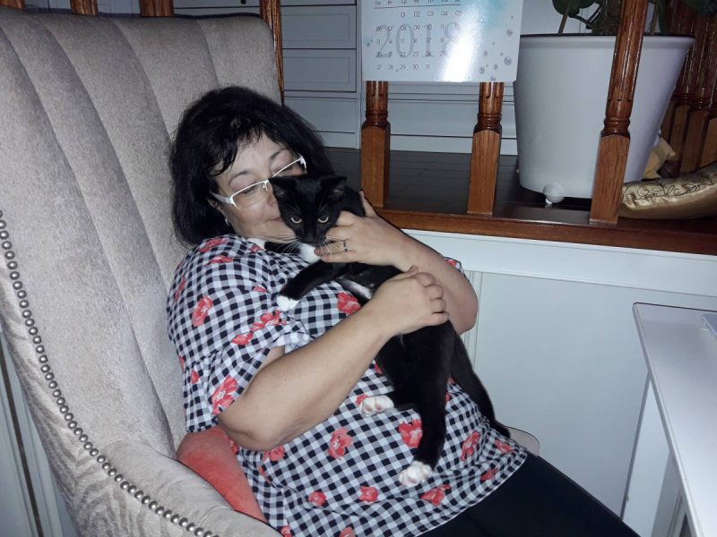 Кошки в нашей жизни. Кошки и все, что с ними связано.