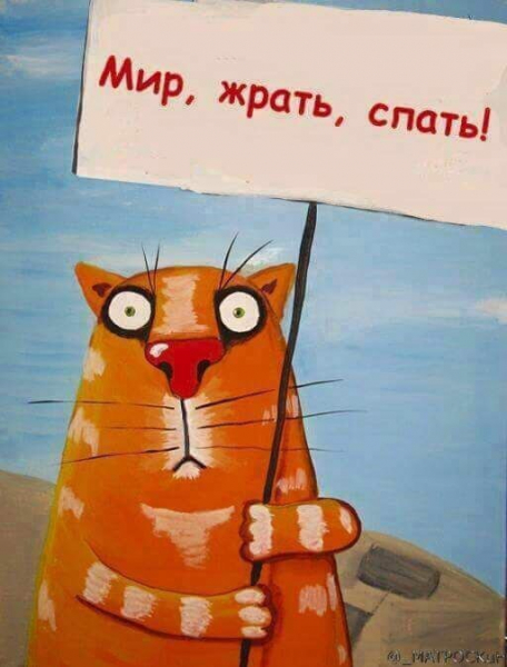 Кошки в нашей жизни. Кошки и все, что с ними связано.