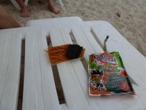 Первый раз за границу:  БКК -Самуи на месяц авг-сент 2011