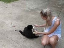 Первый раз за границу:  БКК -Самуи на месяц авг-сент 2011