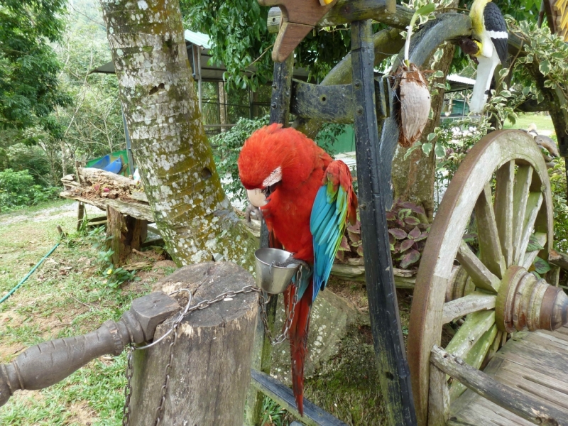 Первый раз за границу:  БКК -Самуи на месяц авг-сент 2011