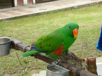 Первый раз за границу:  БКК -Самуи на месяц авг-сент 2011