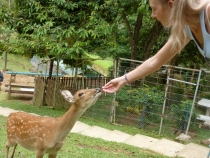 Первый раз за границу:  БКК -Самуи на месяц авг-сент 2011