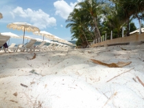 Первый раз за границу:  БКК -Самуи на месяц авг-сент 2011