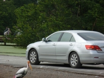 Первый раз за границу:  БКК -Самуи на месяц авг-сент 2011