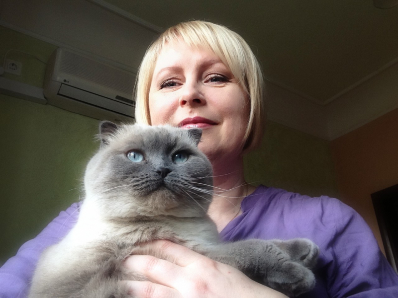 Кошки в нашей жизни. Кошки и все, что с ними связано.