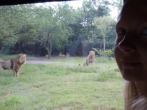 Первый раз за границу:  БКК -Самуи на месяц авг-сент 2011