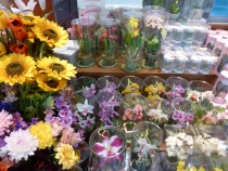 Первый раз за границу:  БКК -Самуи на месяц авг-сент 2011