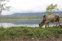 Как мы увидели Мьянму, а она нас. Осень 2011.