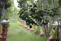 Как мы увидели Мьянму, а она нас. Осень 2011.