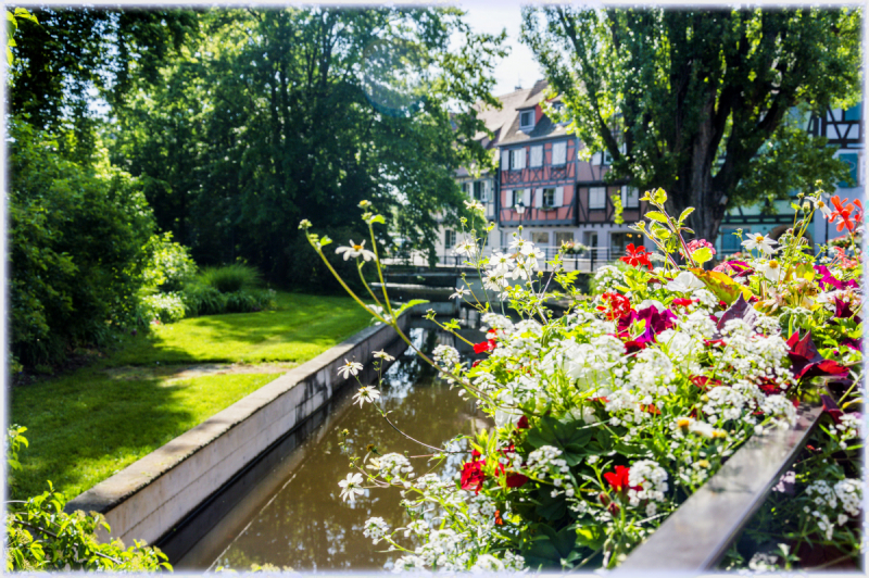 Colmar