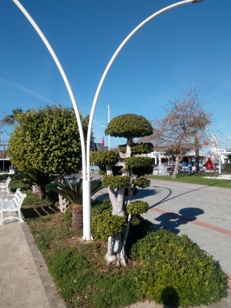 Fethiye
