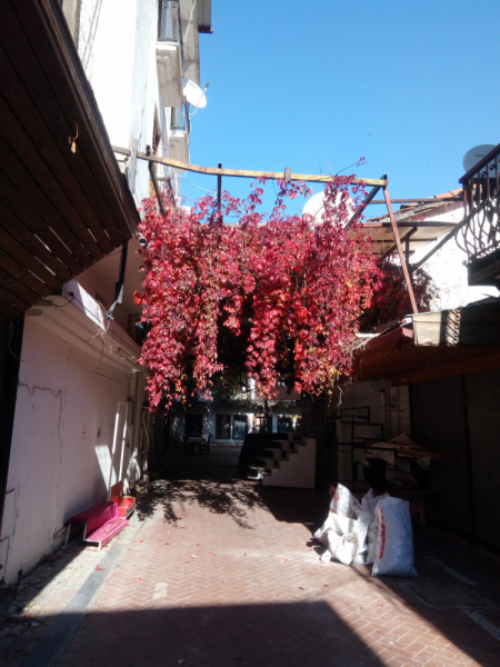 Fethiye