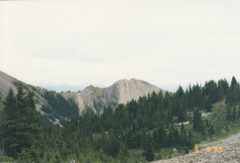 Willmore Wilderness Park, Alberta, Horseback Riding