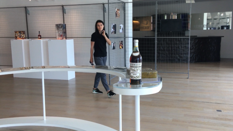 Новая Аквитания: La Rochelle, Bordeaux, Cognac