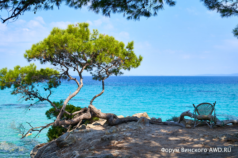 Ситония сентябрь 2018