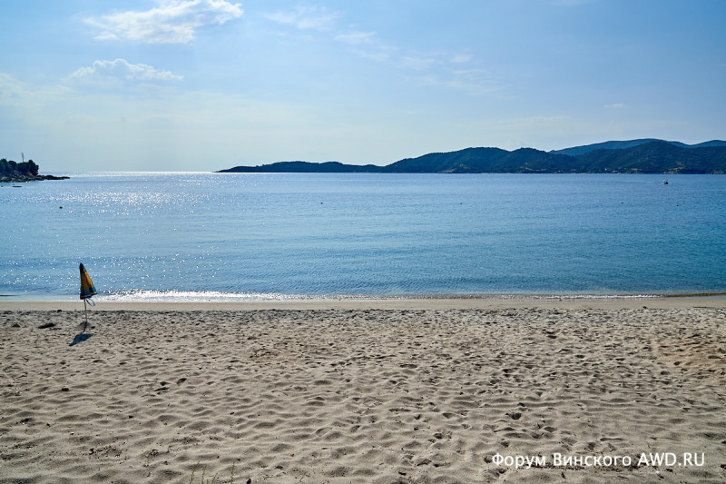 Ситония сентябрь 2018