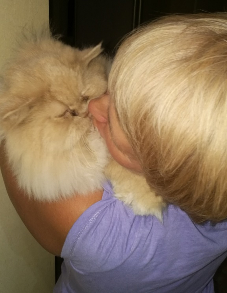 Кошки в нашей жизни. Кошки и все, что с ними связано.