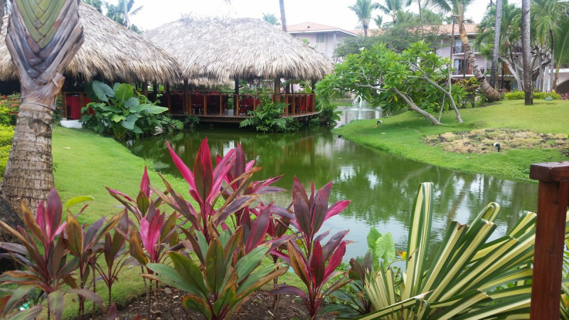 Отели в Пунта Кана : отзывы, рекомендации, бронирование