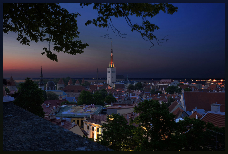 Tallinn 2. 711. DSC_0344. Царква Святога Олафа (Царква О́левiстэ). Oleviste kirik