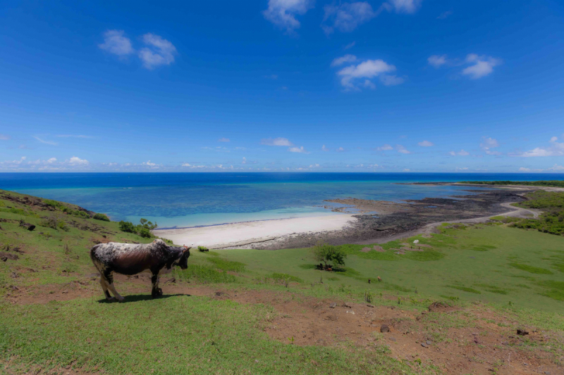 Великие Коморки