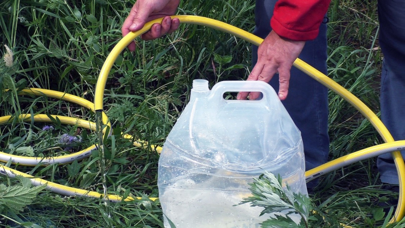 Как мы снимали ролик «Дикая кухня по-русски», или путешествие на подножном корму и даровой энергии солнца.