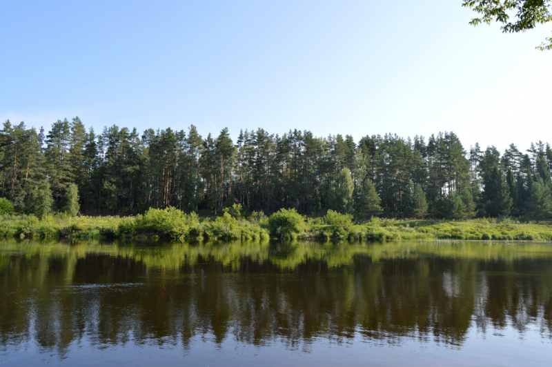 Как мы снимали ролик «Дикая кухня по-русски», или путешествие на подножном корму и даровой энергии солнца.
