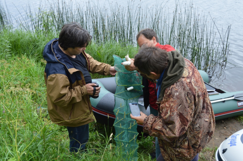 Как мы снимали ролик «Дикая кухня по-русски», или путешествие на подножном корму и даровой энергии солнца.