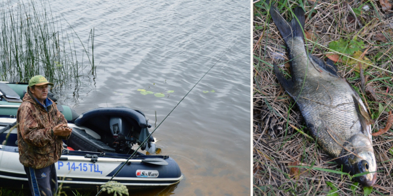 Как мы снимали ролик «Дикая кухня по-русски», или путешествие на подножном корму и даровой энергии солнца.
