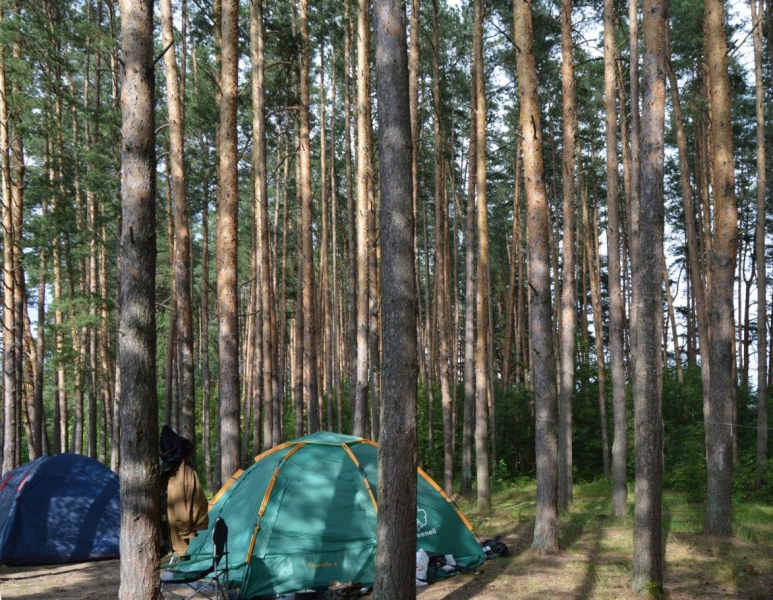 Как мы снимали ролик «Дикая кухня по-русски», или путешествие на подножном корму и даровой энергии солнца.