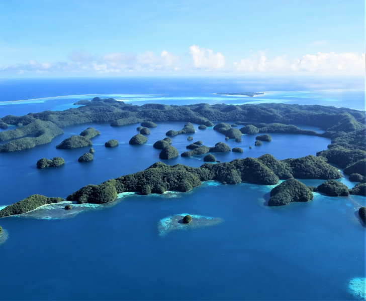 Микронезия без кругосветки-1. Палау: полеты в воде и наяву