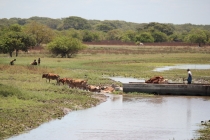 Север Шри Ланки/North Sri Lanka