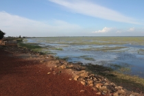 Север Шри Ланки/North Sri Lanka