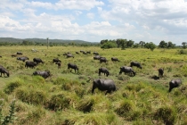 Север Шри Ланки/North Sri Lanka