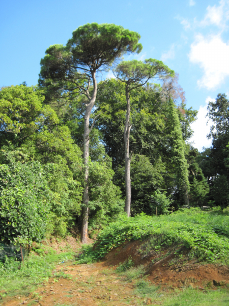 Батуми сентябрь 2018. Отдых