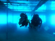 Дайвинг в Доминикане