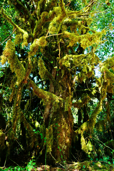 Куда еще в Абхазии можно проехать на неполноприводном автомобиле (обновления от сентября 2019 года).