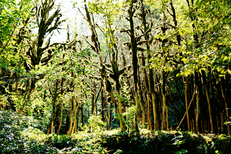 Куда еще в Абхазии можно проехать на неполноприводном автомобиле (обновления от сентября 2019 года).