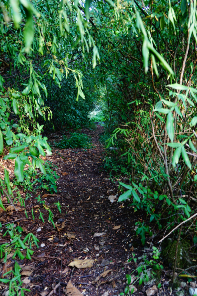 Куда еще в Абхазии можно проехать на неполноприводном автомобиле (обновления от сентября 2019 года).