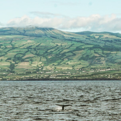 Азоры без авто, сентябрь 2018. Сан-Мигель, Фаяль, Пико, Терсейра.