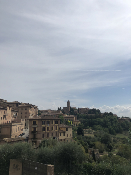 Семь тосканских вечеров