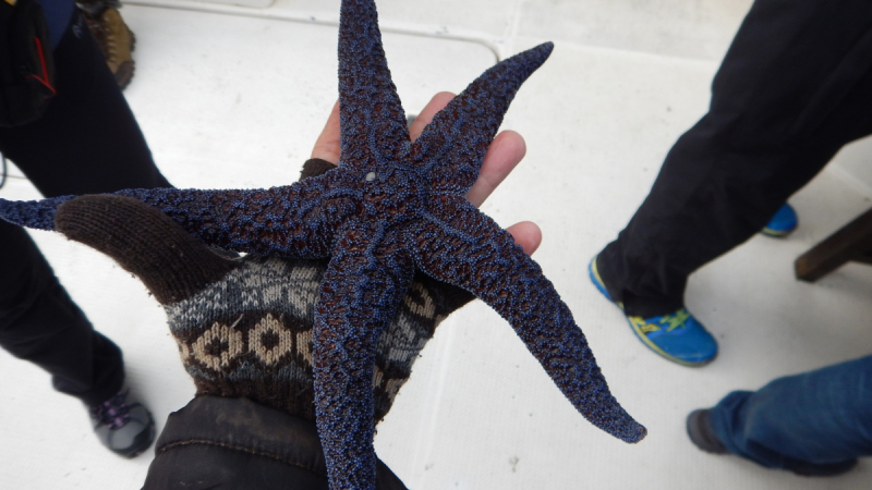 Камчатка. Сентябрь 2018. Переходный возраст планеты