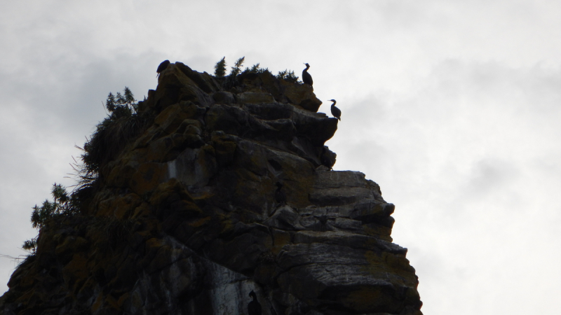 Камчатка. Сентябрь 2018. Переходный возраст планеты