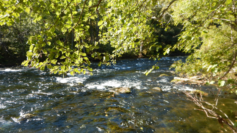 Камчатка. Сентябрь 2018. Переходный возраст планеты